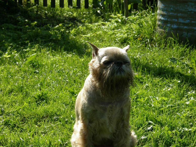 Александра Орлова | Санкт-Петербург