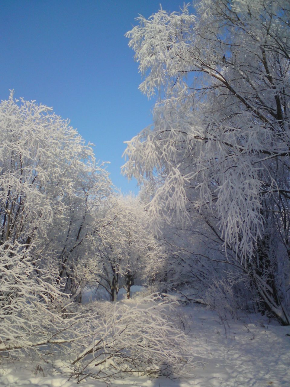 Ольга Клевина | 
