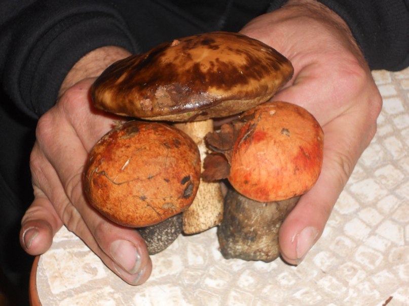 Илья Гаврилов | Нарьян-Мар