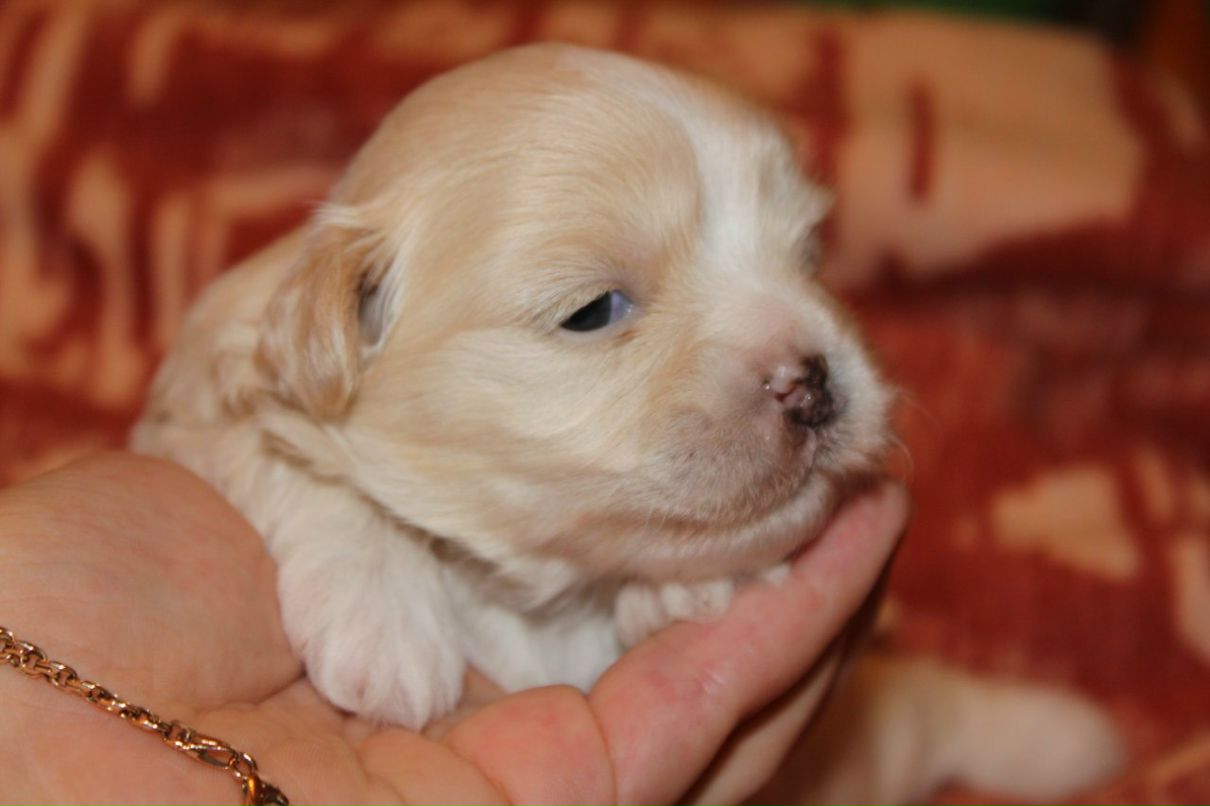 Наталья Климакина теперь Климакина | Москва