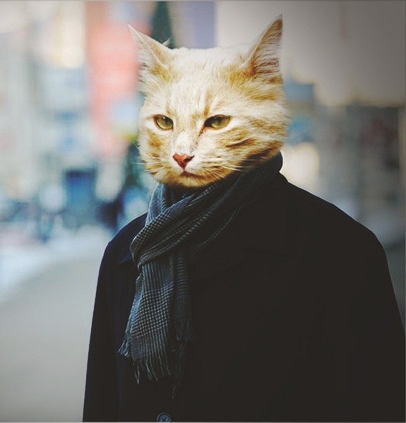 Сергей Морозов | Санкт-Петербург