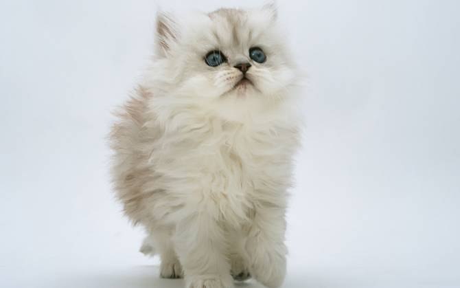 Маша Богданова | Москва