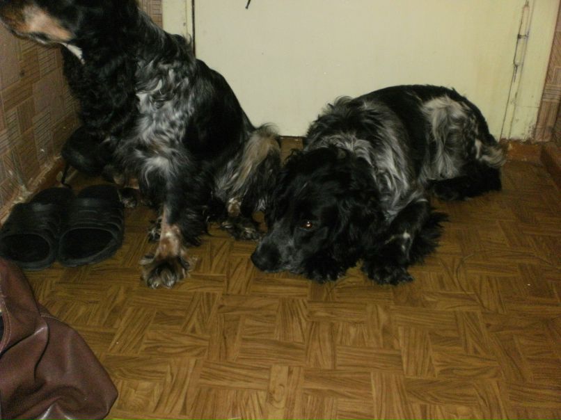 Сергей Митюшин | Санкт-Петербург