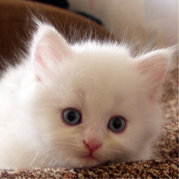 Татьяна Назмиева | Березники