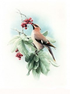 Виктор Подмарев | Москва