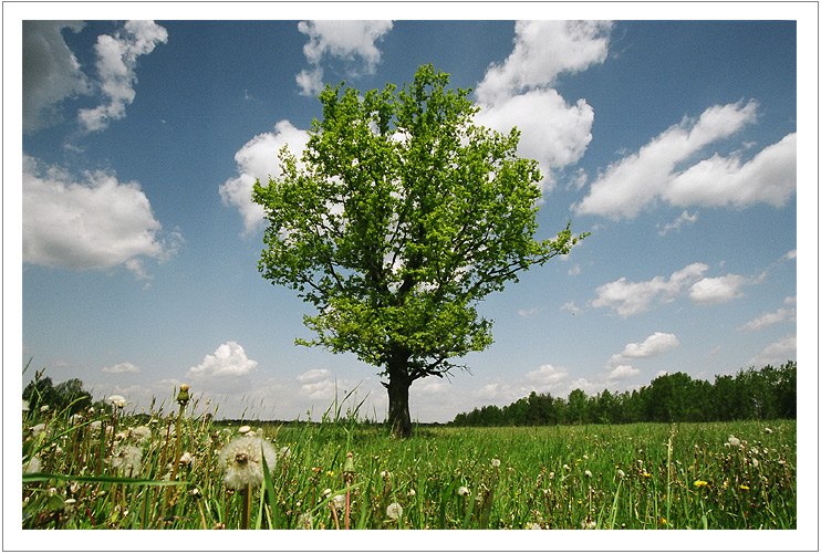 Елена Сухоплюева | Казань