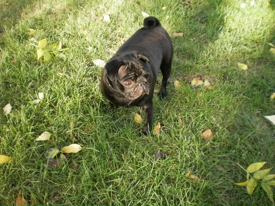 Ирина Ихсанова | Самара