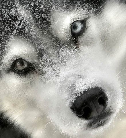 Алина Романишина *AпеLьсINKA* | Сибай