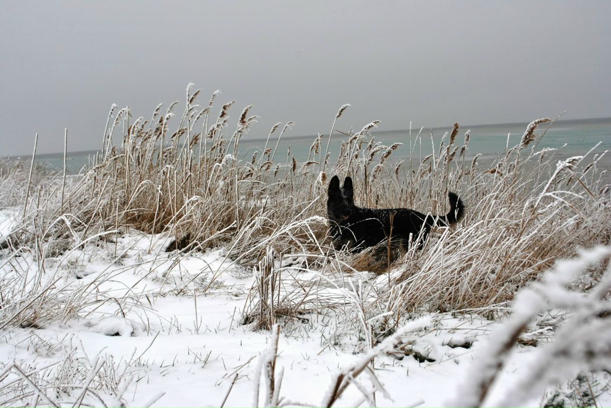 Сергей Бабой Seaboy | Киев