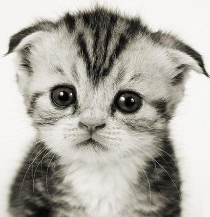 Татьяна Чернышова | Уфа