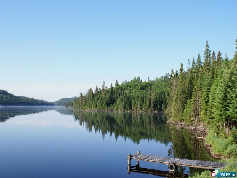 Александр Шиндяпин | Зеленоград