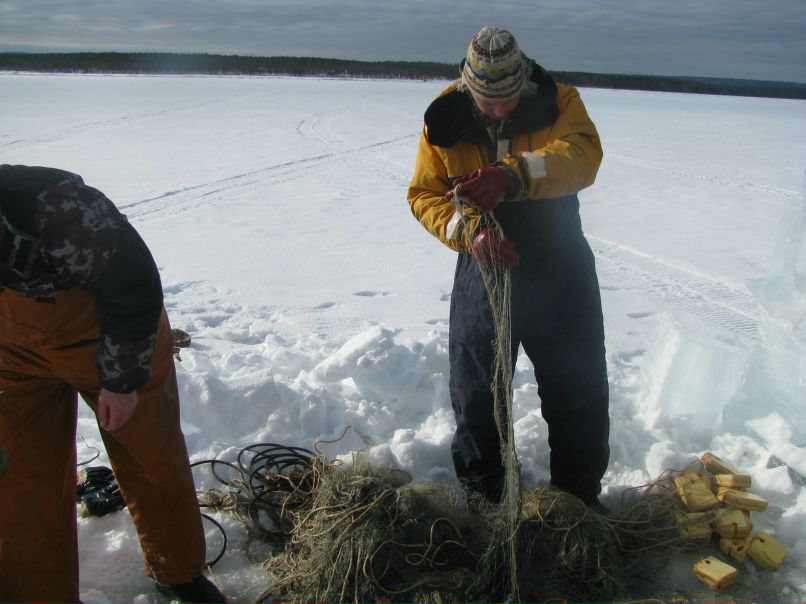 Алексей Павлов | Петрозаводск