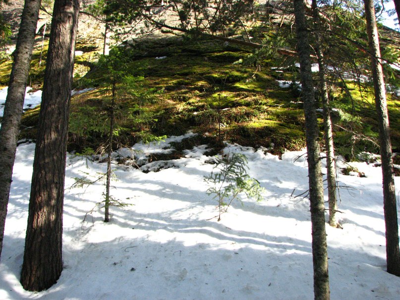 Наталья Горбунова | Красноярск