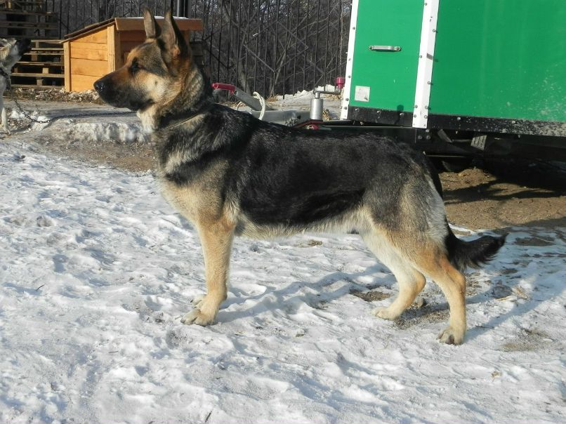 Светлана Харисова | Уфа