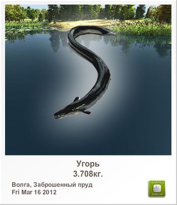 Илья Фролов | Добруш