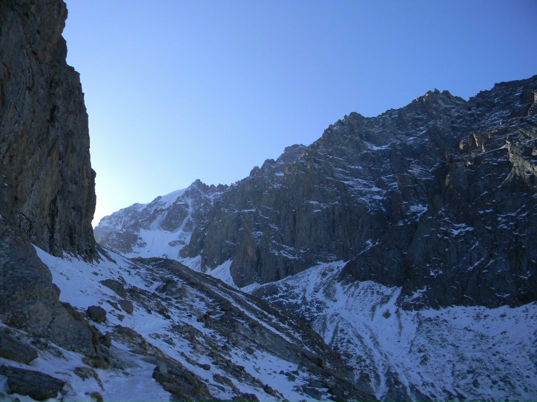 Паша Цветов | 