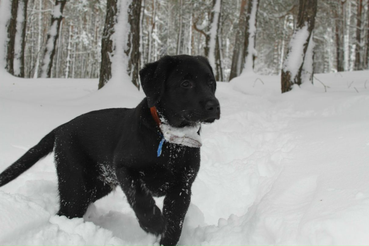Светлана Мочаловская | Люберцы