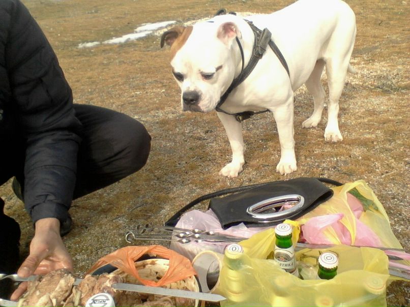 Игорь Дядченко | Запорожье