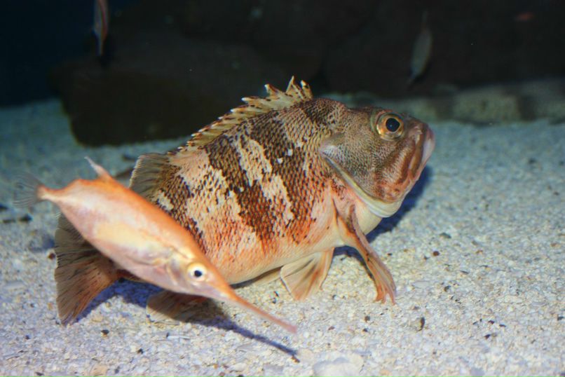 Ксюша Абдуханова | Москва