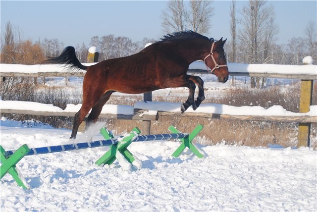 Полина Иванникова | Киев