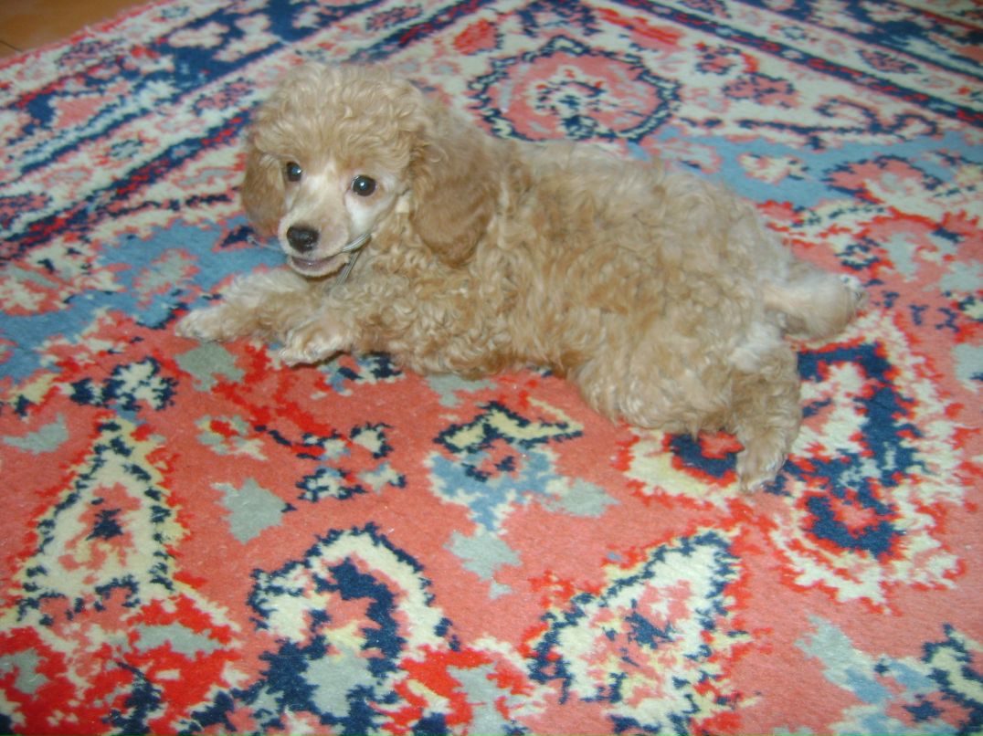 Женя Порозова | Калининград