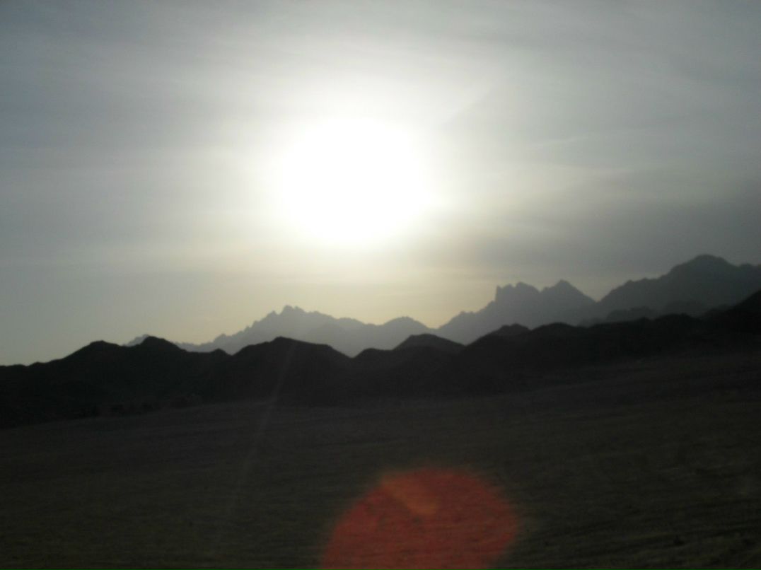 Даша Максимова | Москва