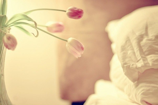 Инна Полтарикова | 