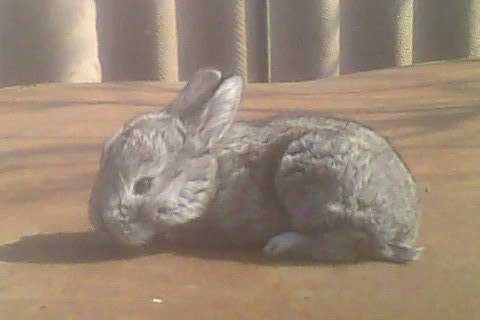 Тёма Михайлец | Кривой Рог