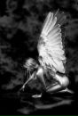 Фотография ~angelka~ ~~