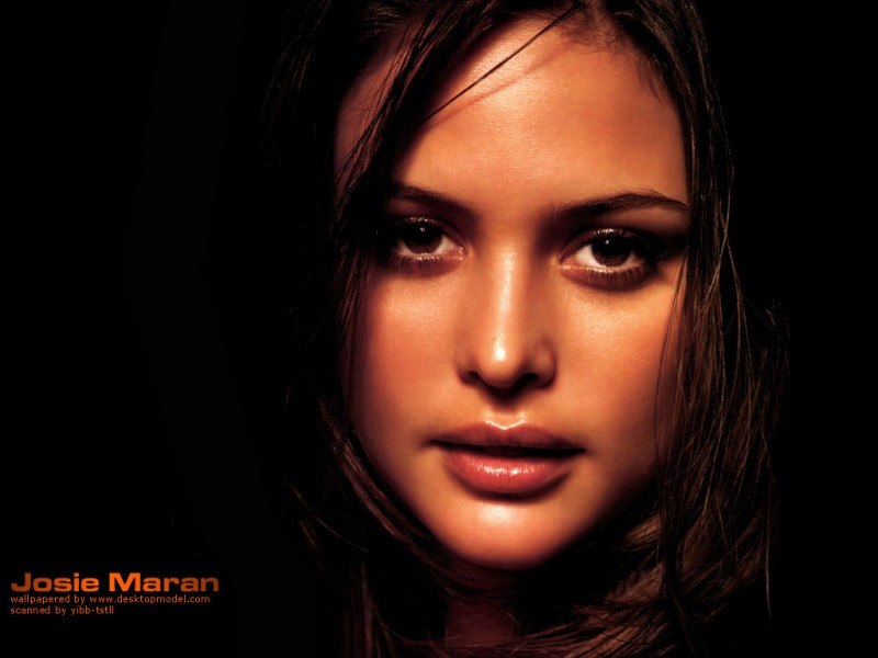 Сергей Цапкин | Санкт-Петербург