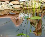 №38 Елена Андрейчева 03.12.1988: профиль, фото, статус - ВКонтакте