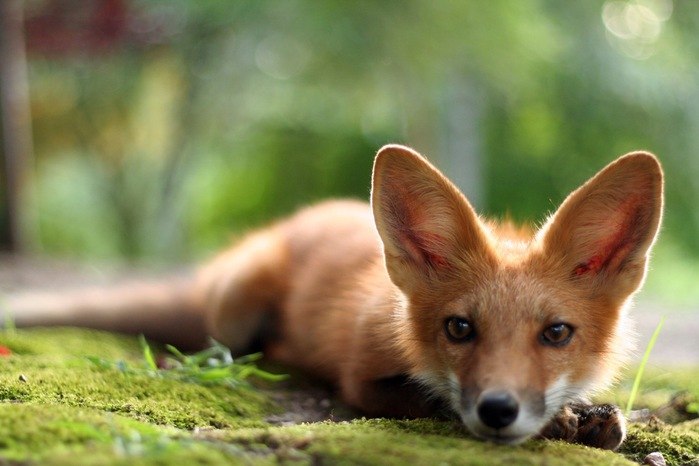 Filth Stuff | Москва