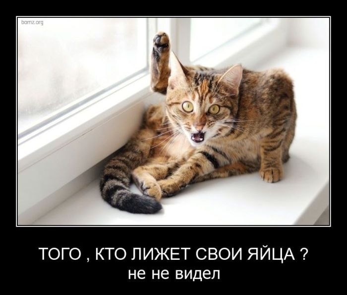 Гурген Вахтангдзерудзе | Москва