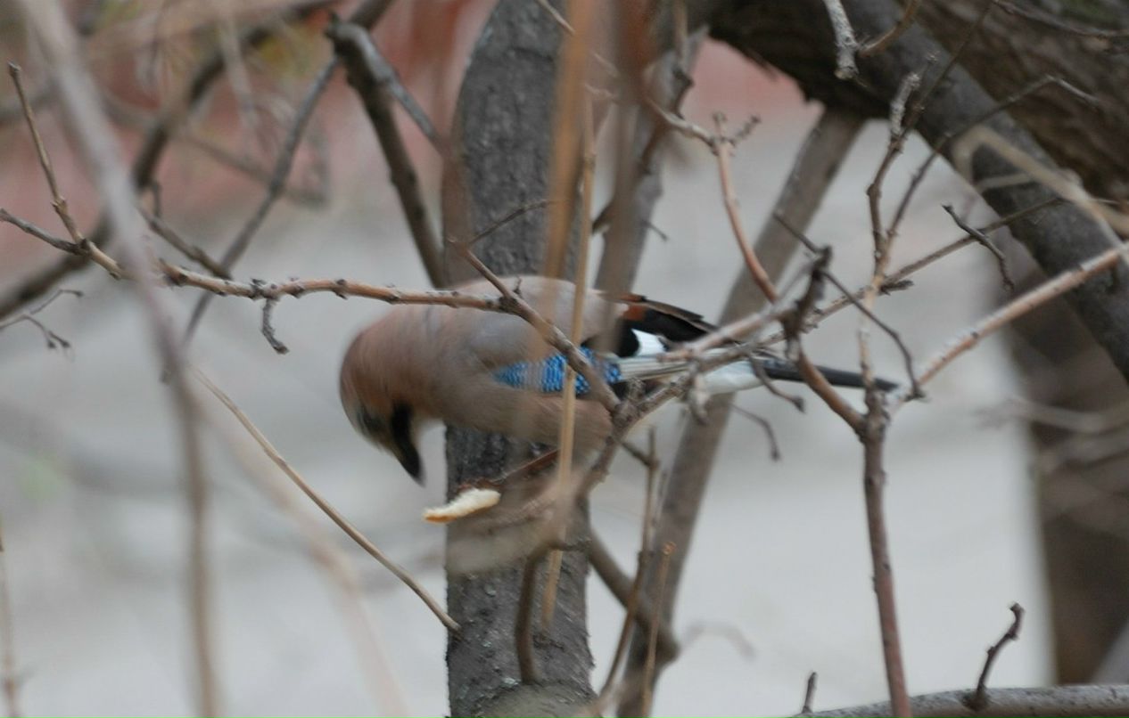 Владислав Иринин | Запорожье