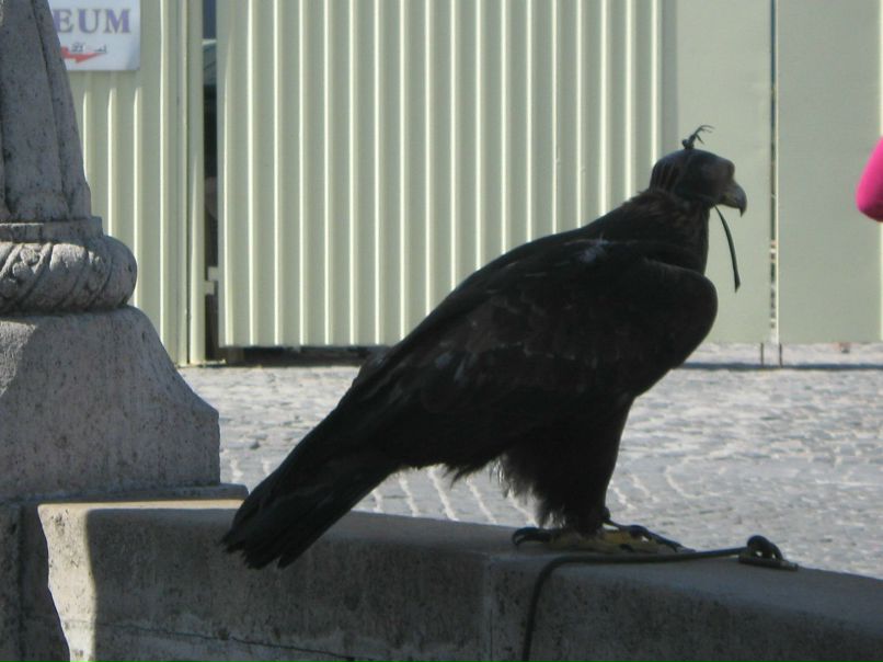 Юрий Ревотюк ???? | Минск