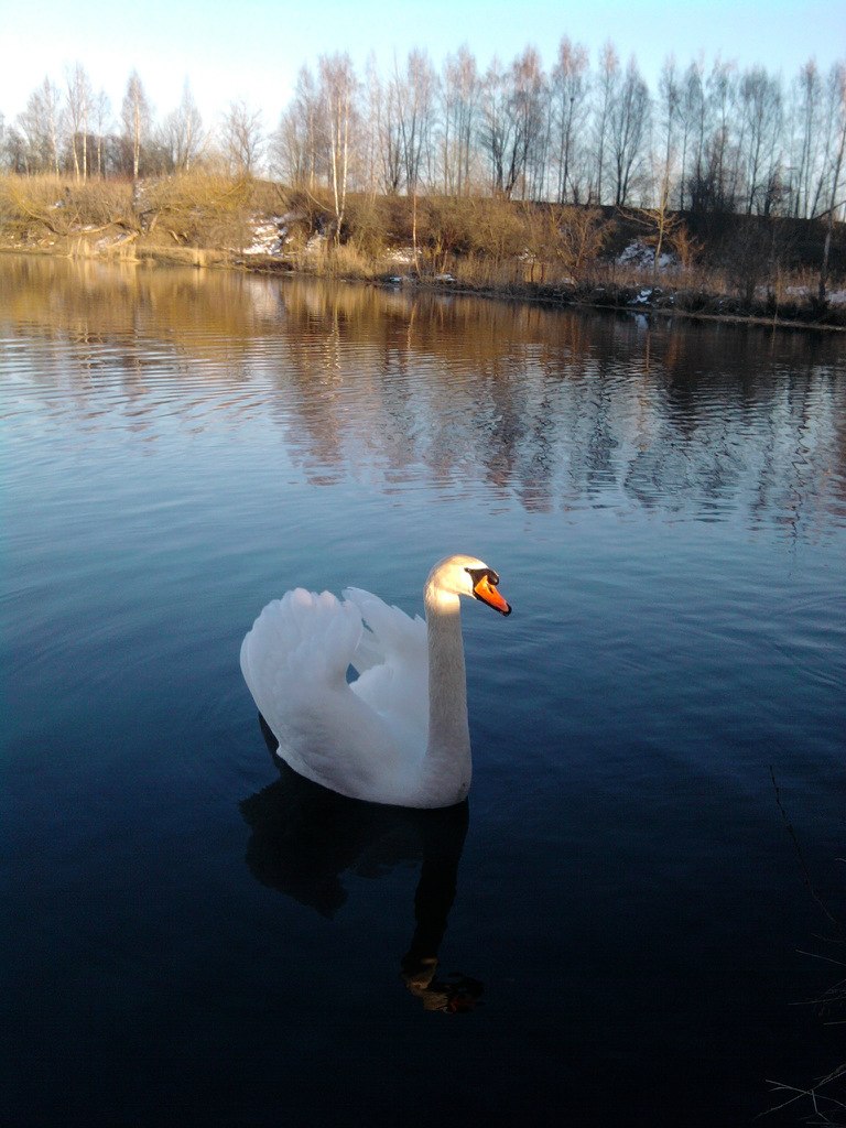 Валентина Власова | Рига