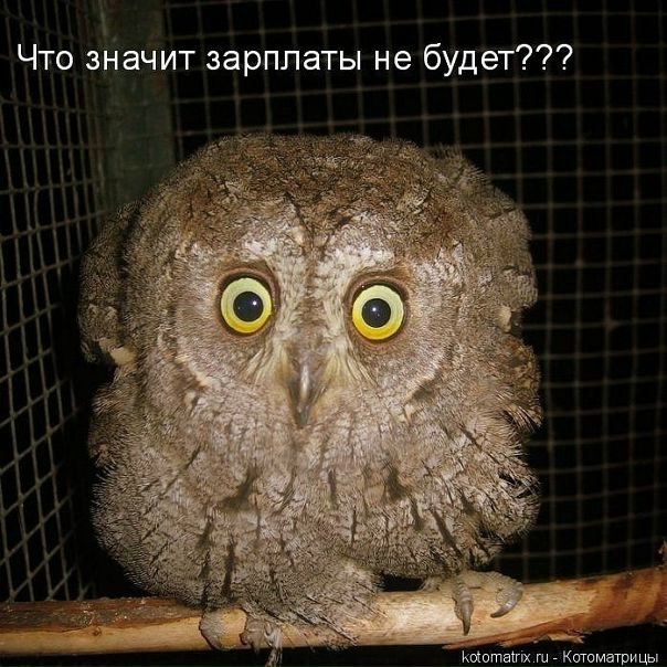 №144, Михайло Руммо, Харьков №144, Михайло Руммо, Харьков