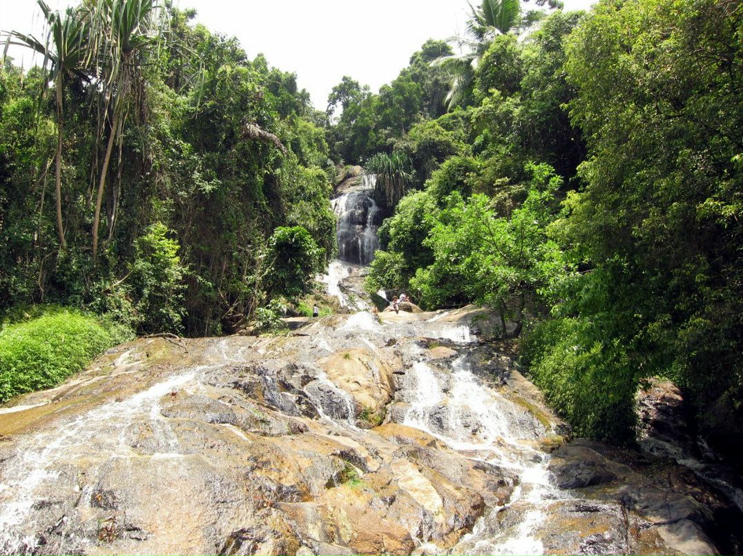 Алексей Резвый | Москва