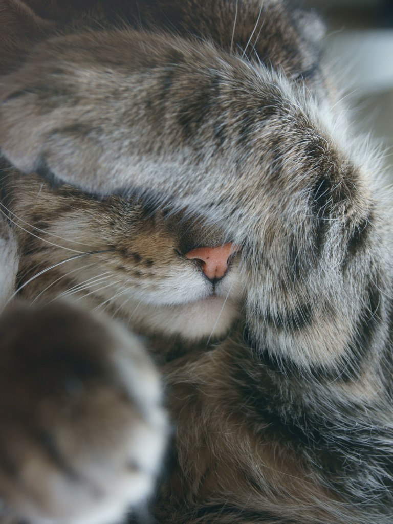 Оля Лазарева | Москва