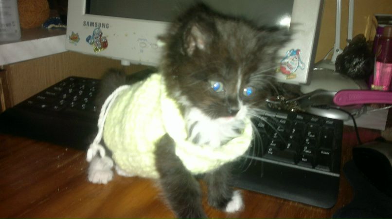 Ольга Толчанова ♥Raquel♥ | 