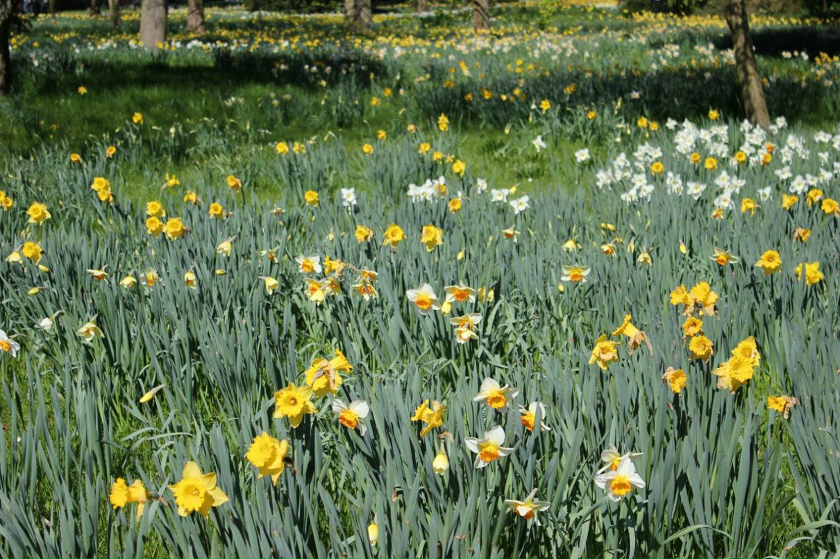 Денис Александров | Москва