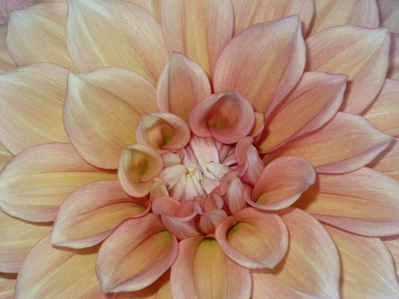 Инна Езерская INNchik | Гомель