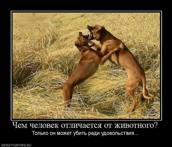 Элина Новикова $$$$$ | Омск