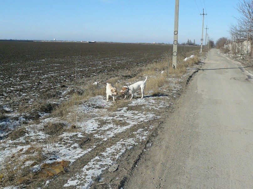 Инна Ошовская | Одесса