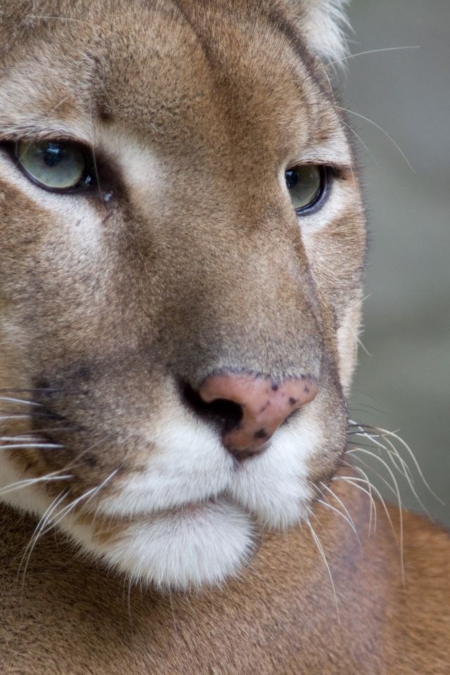 Darina Keselman | Тюмень