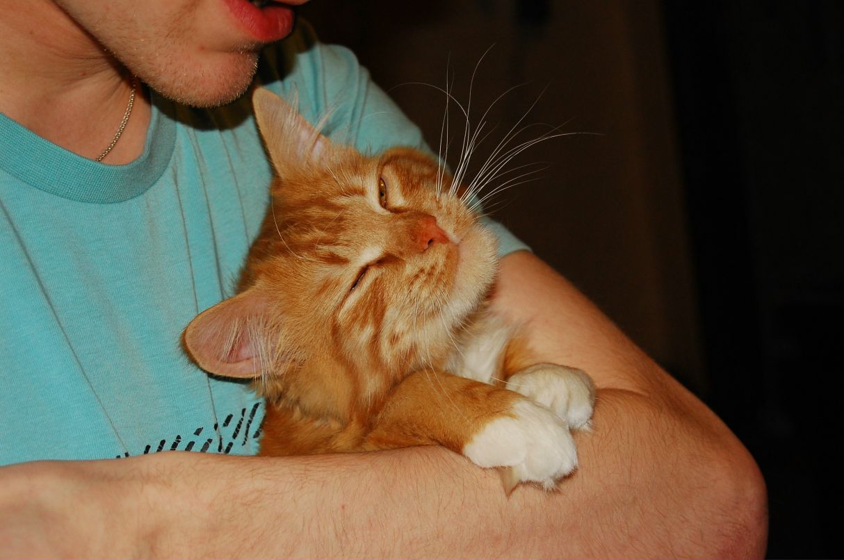 Александр Скрипников | 