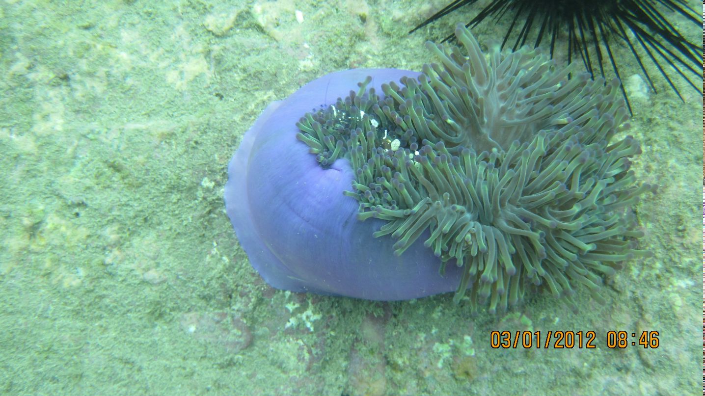 Татьяна Новикова | Санкт-Петербург