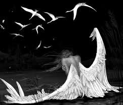 Мария Мовчанюк | Запорожье