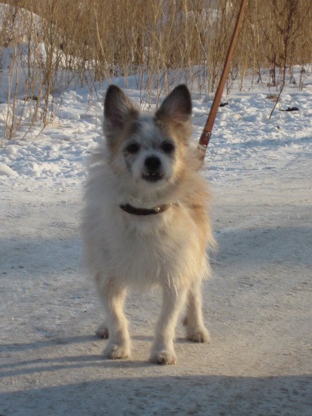 Вера Калунина | Красноярск