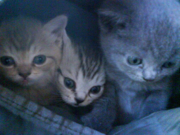 Константин Хам | Хабаровск